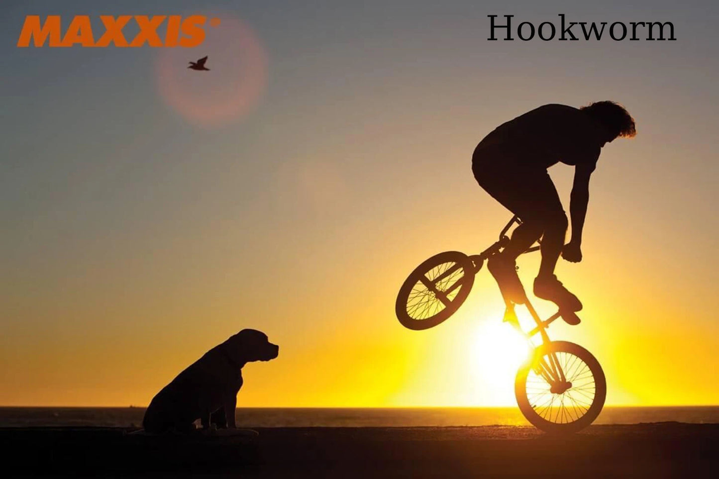 MAXXIS Hookworm Bicycle Tires 26 27.5 29 Sizes
